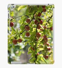 Plums iPad Case/Skin