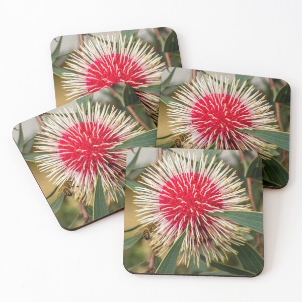 Item preview, Single Hakea Laurina flower with bee designed and sold by Images by Chris de Blank.