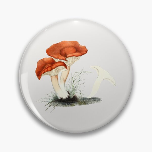 Item preview, Vintage Rufous Milkcap Mushroom Drawing designed and sold by sunnyartgarden.