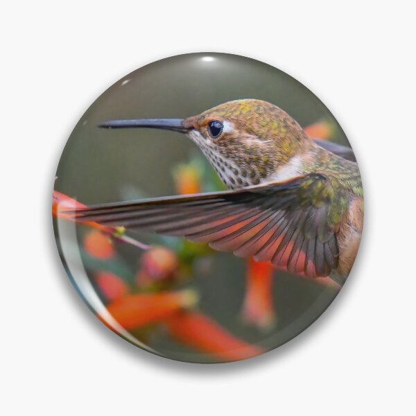 Artikelvorschau, Roter Kolibri entworfen und verkauft von WesleyBarr.