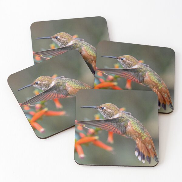 Item preview, colibrí rufo designed and sold by WesleyBarr.