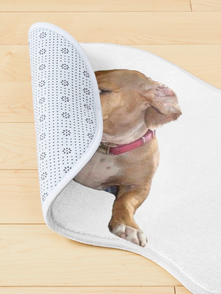 Sus dog meme Pet Mat for Sale by TheBigSadShop