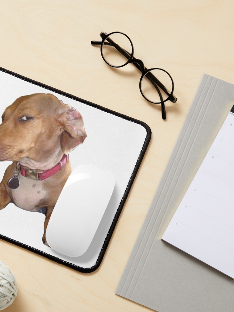 Sus dog meme Pet Mat for Sale by TheBigSadShop