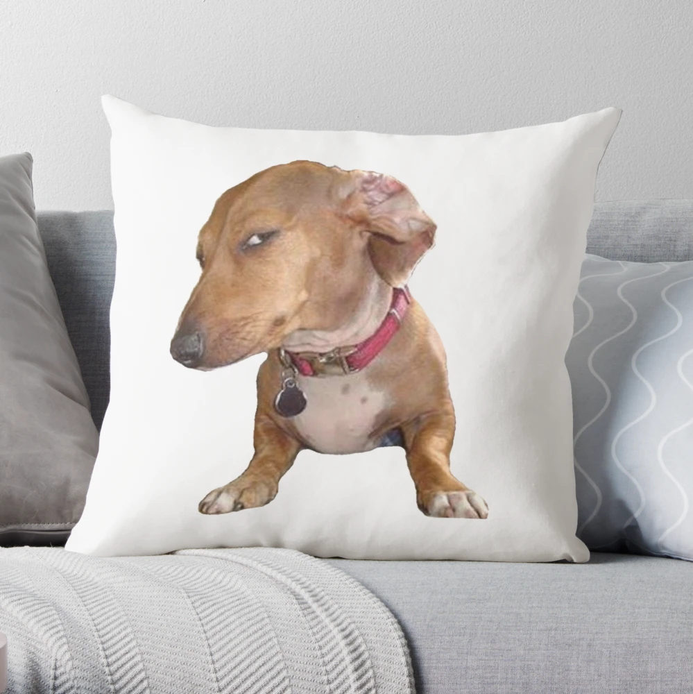 Yoga Dogs Decorative Pillow, Clearance