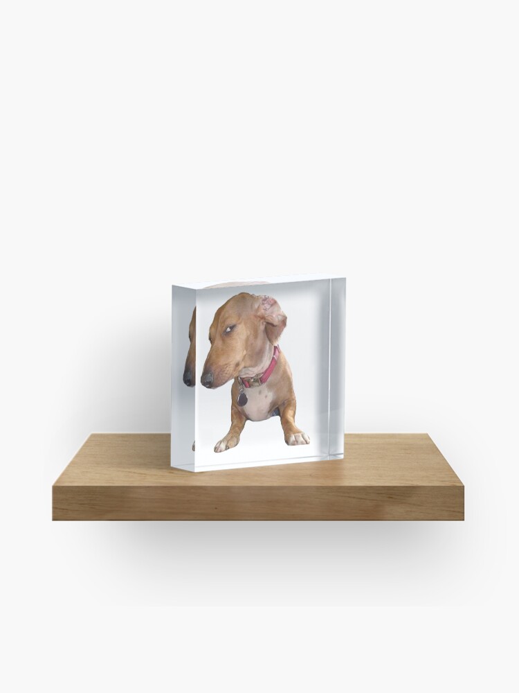 Sus dog meme Acrylic Block for Sale by TheBigSadShop