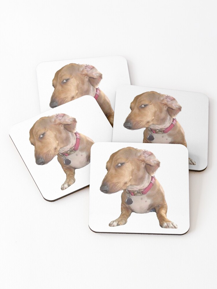 Sus dog Photographic Print for Sale by TheBigSadShop
