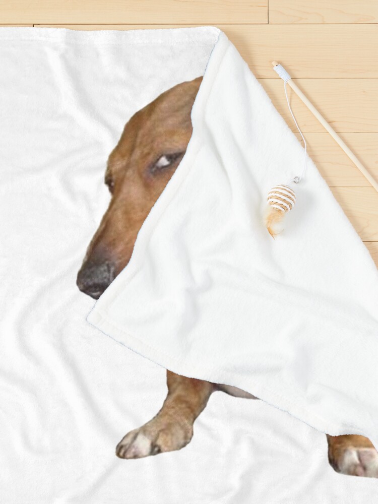 https://ih1.redbubble.net/image.3966743021.6190/ur,pet_blanket_small_detail_fold,tall_portrait,750x1000.jpg