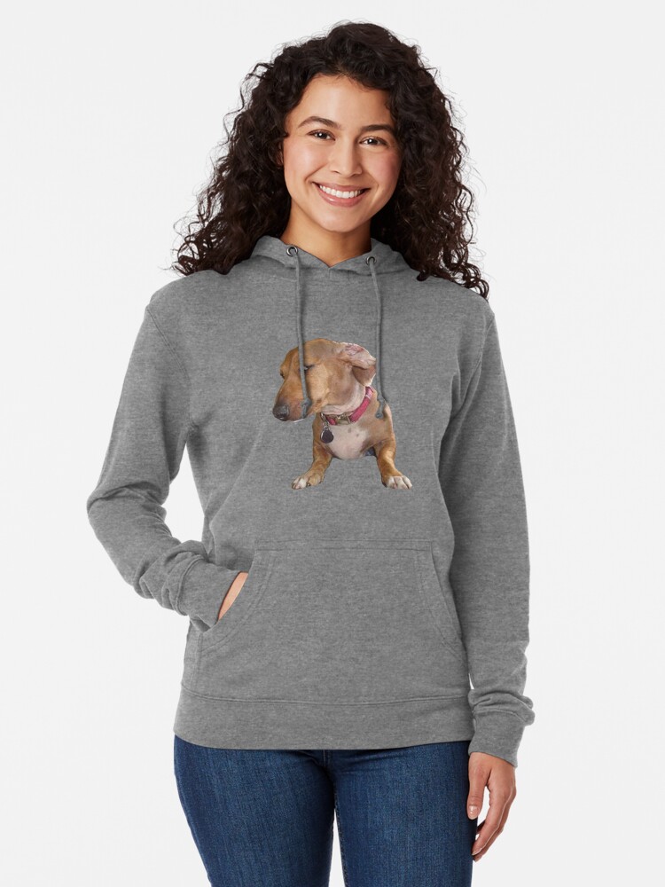 https://ih1.redbubble.net/image.3966743049.6190/ssrco,lightweight_hoodie,womens,grey_lightweight_hoodie,front,tall_three_quarter,x1000-bg,f8f8f8.1.jpg