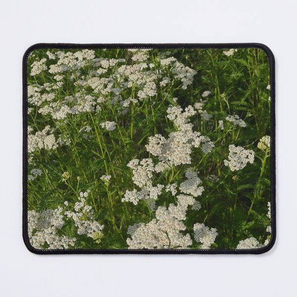 Item preview, Yarrow designed and sold by Madie-RW.
