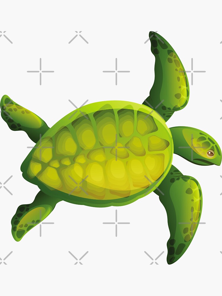 "Green sea turtle, turtle, sea turtle, ocean, green, sea, animal, blue