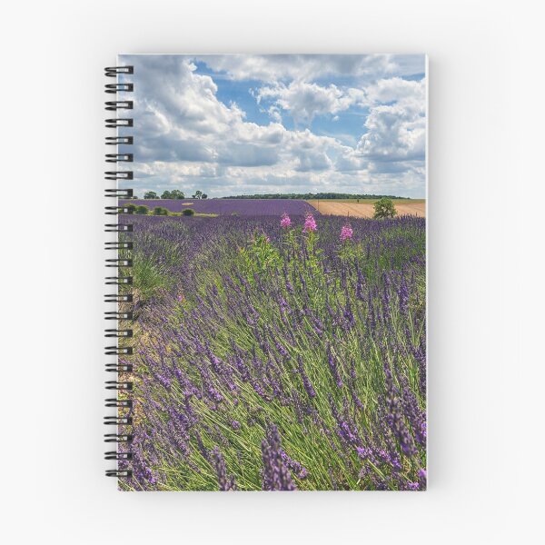 Item preview, Cotswold lavender fields at Broadway, Worcestershire designed and sold by Stravinsky.
