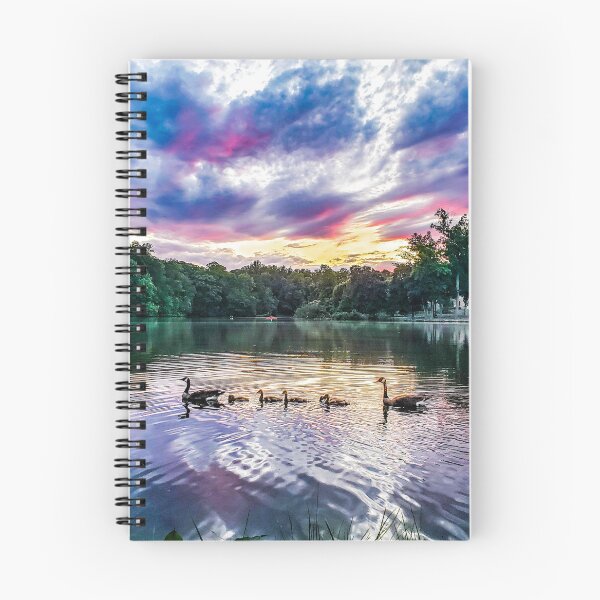 Aperçu de l'œuvre Famille Goose (Greensboro, North Carolina Lake 4 sur 4), Collection de photographies personnelles créée et vendue par Rex Wyld.