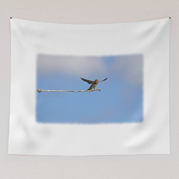 Item preview, Joyful Barn Swallow designed and sold by PaulKPhoto.