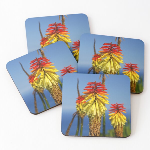 Item preview, Torch-lily flowers designed and sold by Gaspar Avila.