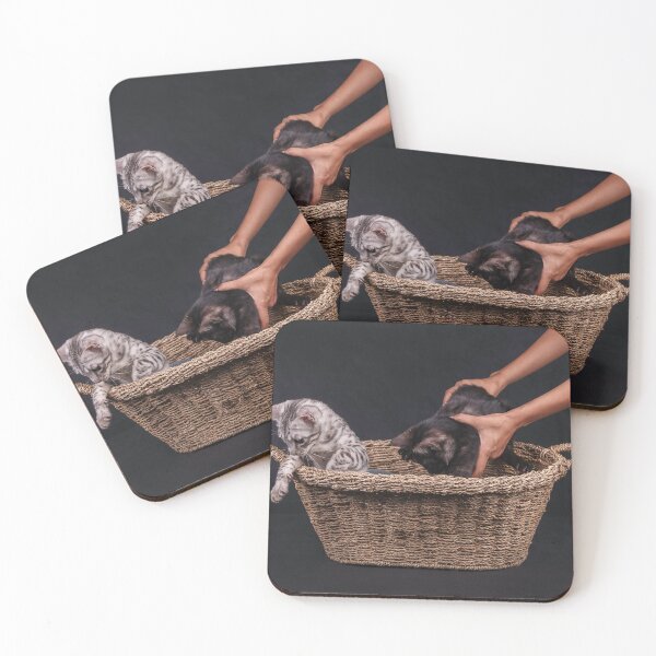 Item preview, Two cats in a basket designed and sold by Spring Reilly.