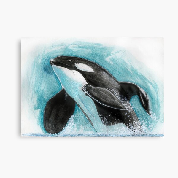 Tilikum Canvas Print