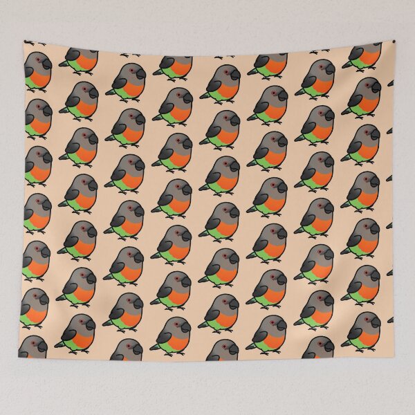 Item preview, Chubby Red-bellied Parrot Male designed and sold by birdhism.