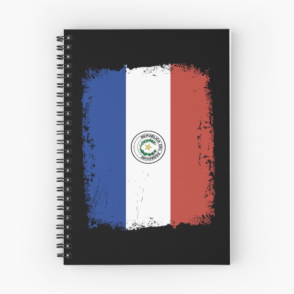 Item preview, Paraguay Flag Distressed designed and sold by rafaeltto.