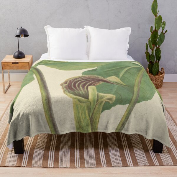 Item preview, Vintage Botanical Flower Art - Jack-in-the-pulpit - Bog onion - Arisaema triphyllum designed and sold by AlleghenyDesign.