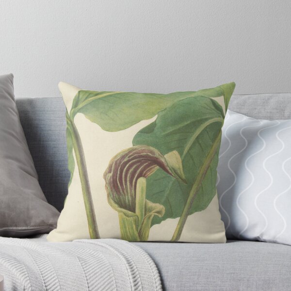 Item preview, Arte floral botánico vintage - Jack-in-the-pulpit - Cebolla de pantano - Arisaema triphyllum designed and sold by AlleghenyDesign.