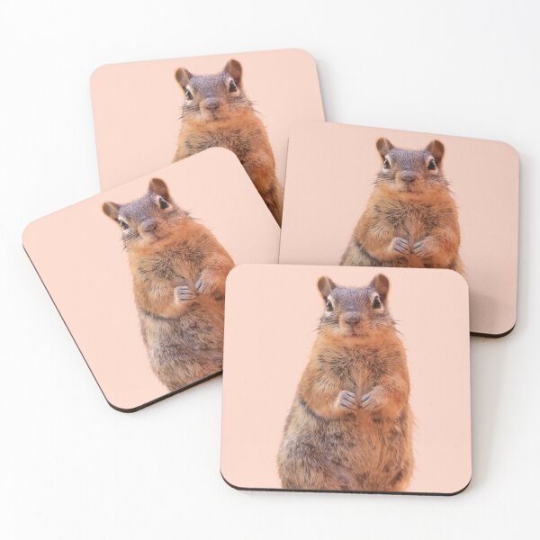 Item preview, Cute Chipmunk designed and sold by RainbowSpinkle.