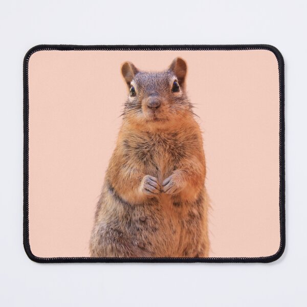 Item preview, Cute Chipmunk designed and sold by RainbowSpinkle.