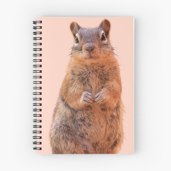 Item preview, Cute Chipmunk designed and sold by RainbowSpinkle.
