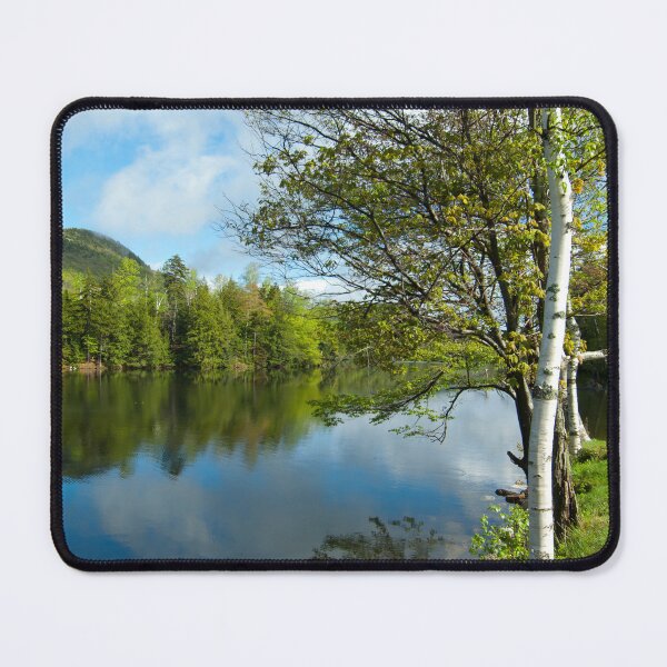 Item preview, Spring Birch Woodard Reservoir, Vermont designed and sold by srwdesign.