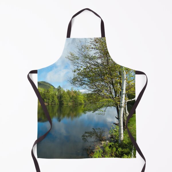 Item preview, Spring Birch Woodard Reservoir, Vermont designed and sold by srwdesign.