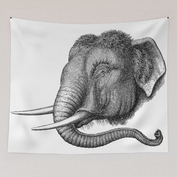 Item preview, Vintage Elephant Head  designed and sold by red-mode.