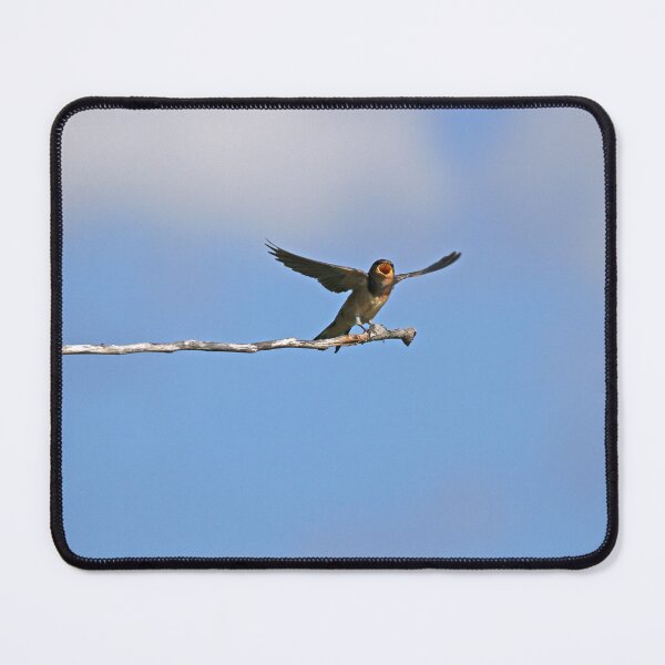 Item preview, Joyful Barn Swallow designed and sold by PaulKPhoto.