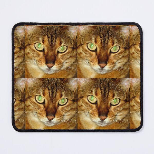 Item preview, Beautiful Cat- Kumari designed and sold by Carole-Anne.