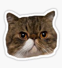 FERGUSON NEUES MÄDCHEN Sticker