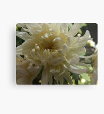 Mum, for Mum Metal Print