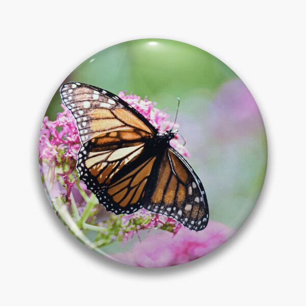 Item preview, Delicate and Beautiful, Monarch Butterfly designed and sold by imaginethis.