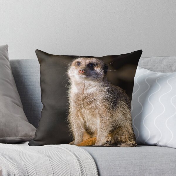Item preview, Meerkat at Sunset designed and sold by Lee Walker.
