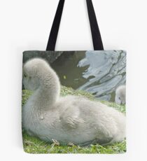 Peek-A-Boo - Two Black Swan Cygnets Tote Bag