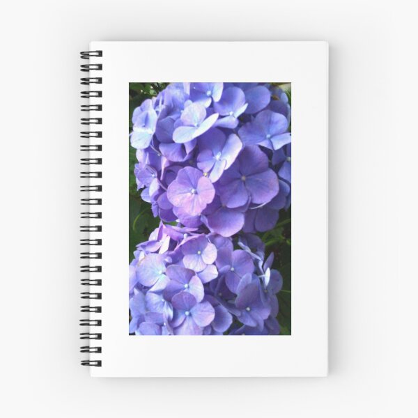 Item preview, Blue Hydrangea designed and sold by Betty Mackey.