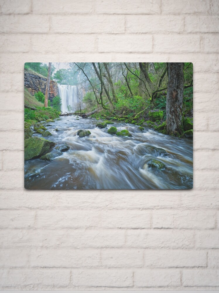 Thumbnail 2 of 4, Metal Print, Trentham Falls, Victoria, Australia designed and sold by Michael Boniwell.