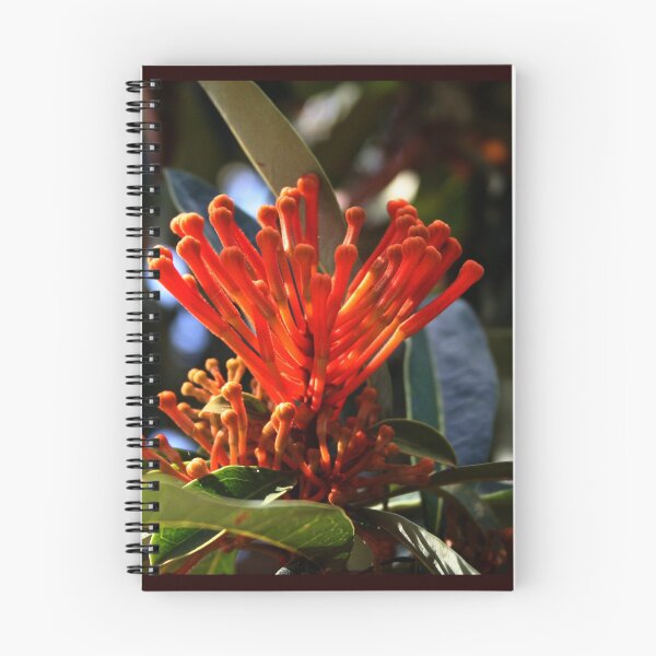 Item preview, Tree Waratah Flower designed and sold by Evita.