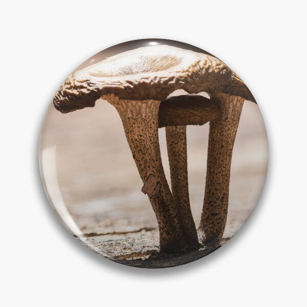 Item preview, Fungal Light designed and sold by Geoff Wols.