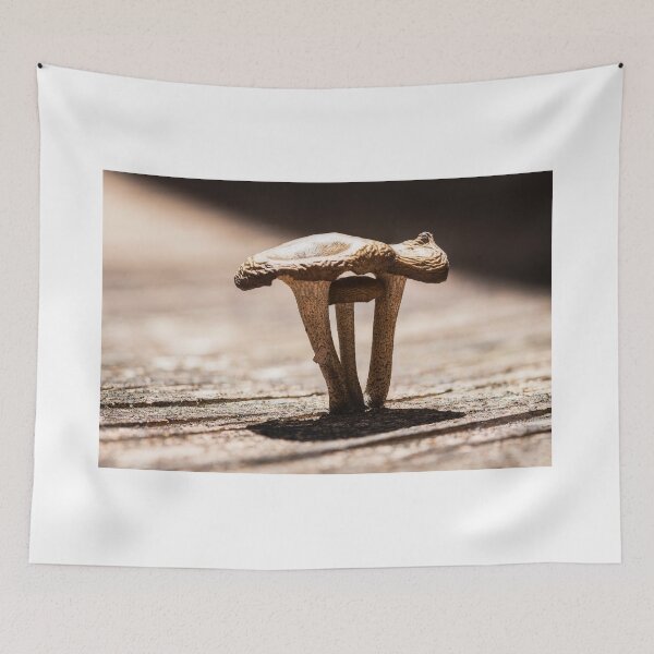 Item preview, Fungal Light designed and sold by Geoff Wols.