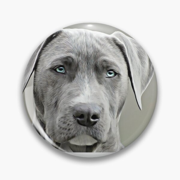 Item preview, cute dog pitbul designed and sold by PerisicCompany.