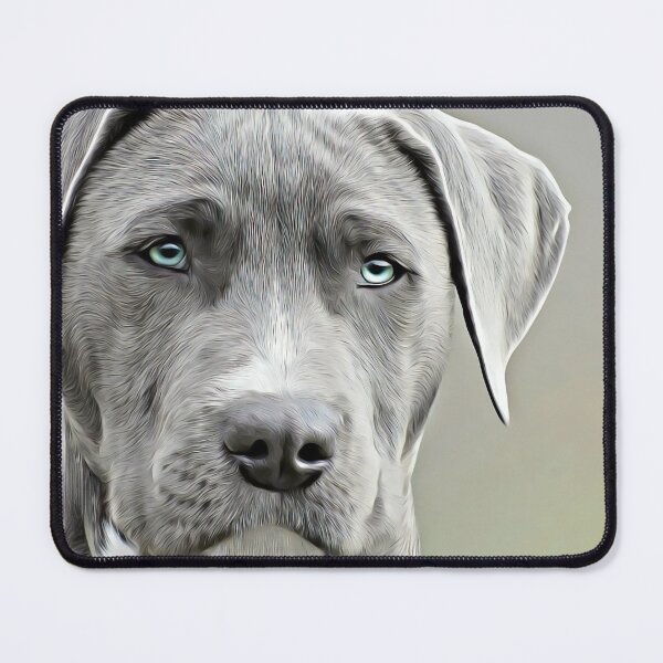 Item preview, cute dog pitbul designed and sold by PerisicCompany.