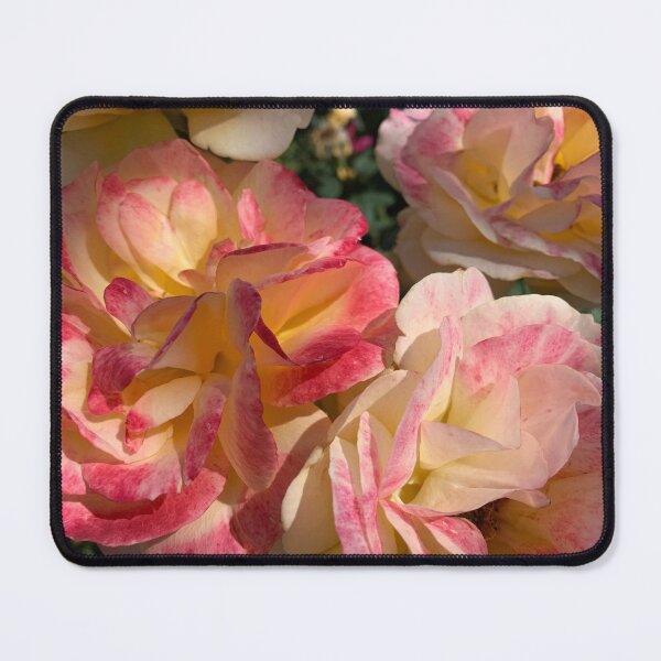 Item preview, Roses on sun designed and sold by agnessa38.