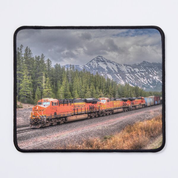 Item preview, Burlington Northern Santa Fe # 7172 designed and sold by RandyDyer.