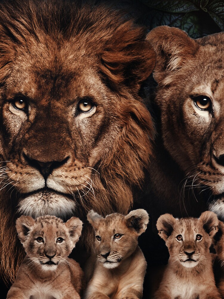 Vinilo para iPhone «Familia de leones con cuatro cachorros» de  h-special-art | Redbubble