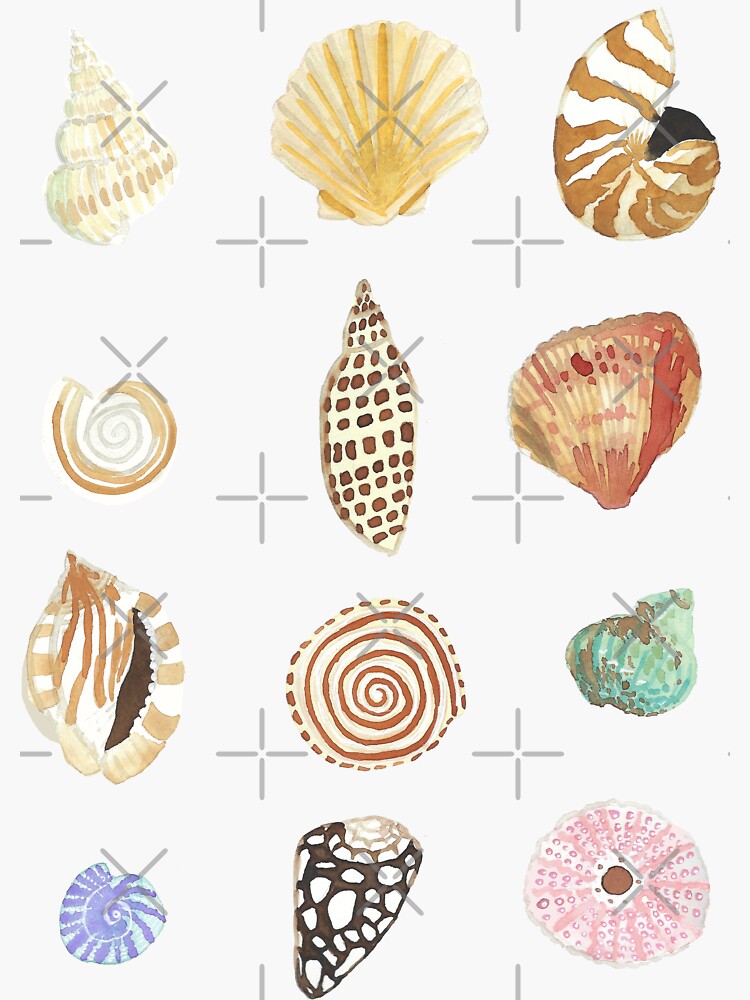 Thumbnail 3 of 3, Sticker, Shell Collection designed and sold by jenbucheli.