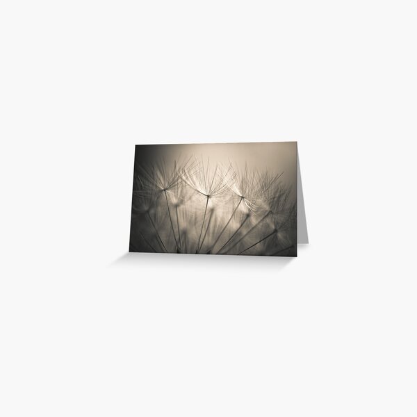 Fairy spores Greeting Card