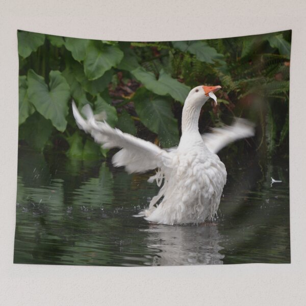 Item preview, Splish splash taking a bath designed and sold by lizdomett.